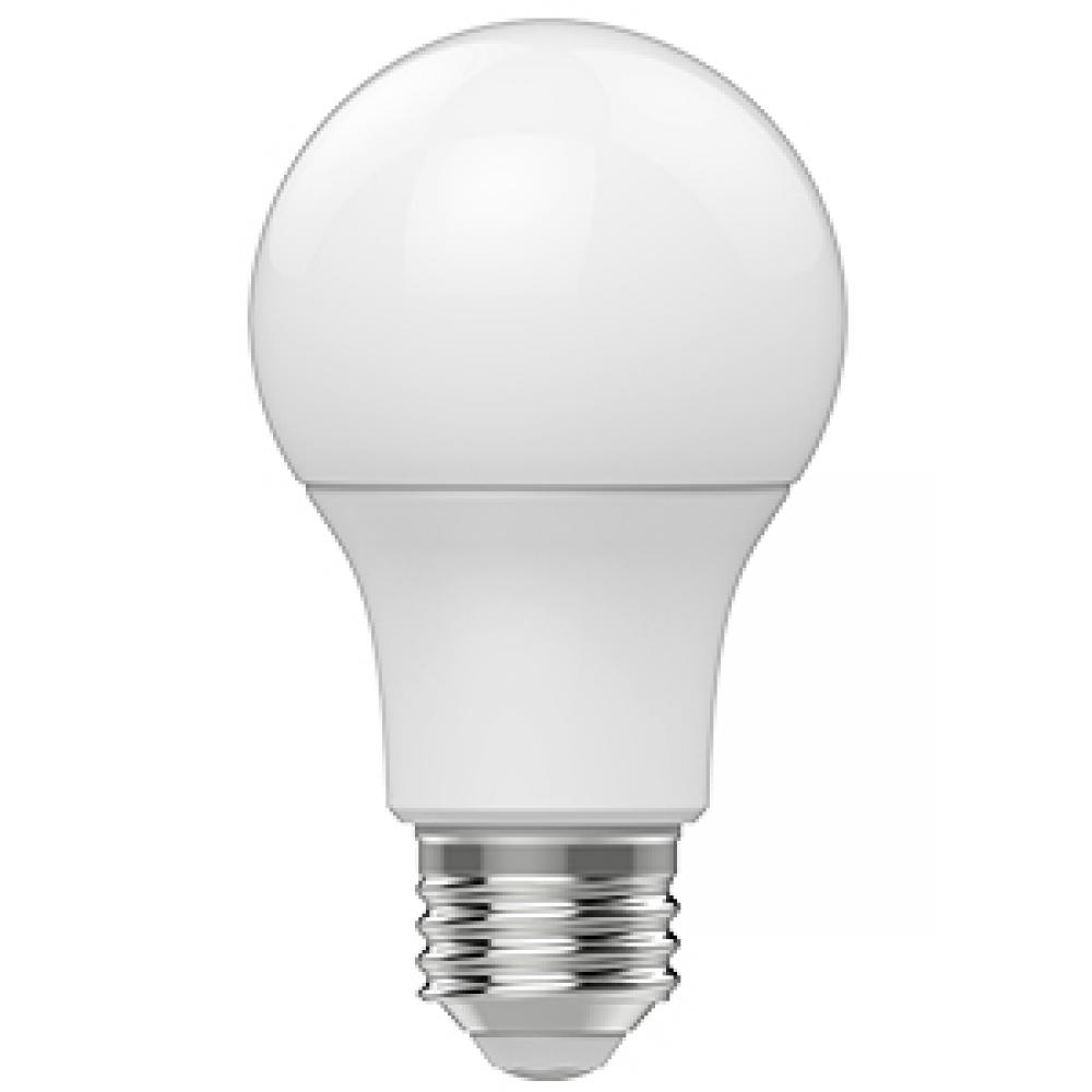 LED Lamp A19 E26 Base 9W 120V 5000K 800LM Non-Dimmable CHOICE - 4P