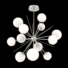 Hammerton CHB0092-0B-BS-WL-001-L3 - Gaia Starburst - 43-Inch