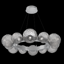 Hammerton CHB0092-39-CS-S-CA1-L1 - Gaia Radial Ring - 39-Inch