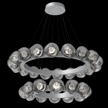 Hammerton CHB0095-2T-CS-ZS-CA1-L1 - Luna Two-Tier Radial Ring
