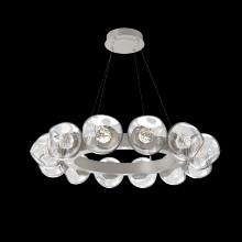 Hammerton CHB0095-36-BS-FC-CA1-L1 - Luna Radial Ring - 36-Inch