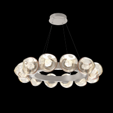 Hammerton CHB0095-36-BS-ZA-CA1-L1 - Luna Radial Ring - 36-Inch