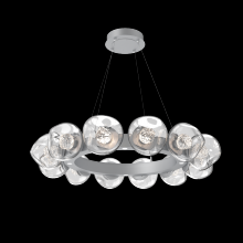 Hammerton CHB0095-36-CS-FC-CA1-L1 - Luna Radial Ring - 36-Inch