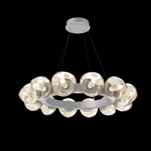Hammerton CHB0095-36-CS-GA-CA1-L1 - Luna Radial Ring - 36-Inch