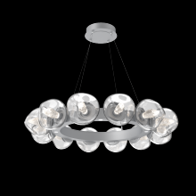 Hammerton CHB0095-36-CS-GC-CA1-L1 - Luna Radial Ring - 36-Inch