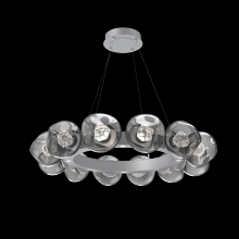 Hammerton CHB0095-36-CS-ZS-CA1-L3 - Luna Radial Ring - 36-Inch