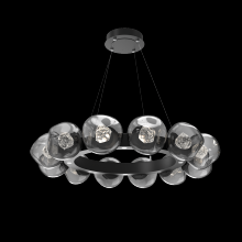 Hammerton CHB0095-36-MB-ZS-CA1-L1 - Luna Radial Ring - 36-Inch