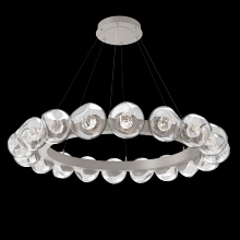 Hammerton CHB0095-48-BS-FC-CA1-L1 - Luna Radial Ring - 48-Inch