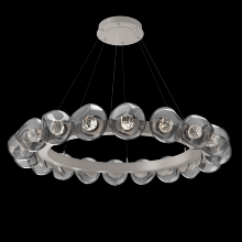 Hammerton CHB0095-48-BS-FS-CA1-L1 - Luna Radial Ring - 48-Inch