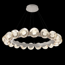 Hammerton CHB0095-48-BS-ZA-CA1-L1 - Luna Radial Ring - 48-Inch