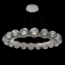 Hammerton CHB0095-48-BS-ZS-CA1-L1 - Luna Radial Ring - 48-Inch