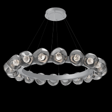 Hammerton CHB0095-48-CS-FS-CA1-L1 - Luna Radial Ring - 48-Inch