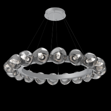 Hammerton CHB0095-48-CS-GS-CA1-L1 - Luna Radial Ring - 48-Inch