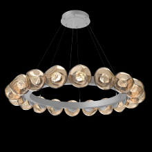 Hammerton CHB0095-48-CS-ZB-CA1-L3 - Luna Radial Ring - 48-Inch