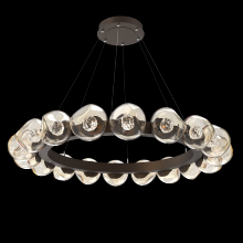 Hammerton CHB0095-48-FB-FA-CA1-L1 - Luna Radial Ring - 48-Inch