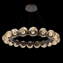 Hammerton CHB0095-48-FB-FB-CA1-L1 - Luna Radial Ring - 48-Inch