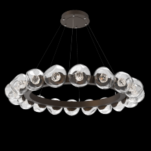 Hammerton CHB0095-48-FB-FC-CA1-L1 - Luna Radial Ring - 48-Inch