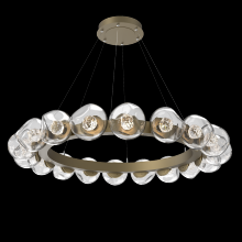 Hammerton CHB0095-48-GB-FC-CA1-L1 - Luna Radial Ring - 48-Inch
