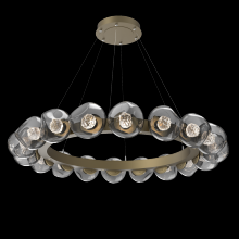 Hammerton CHB0095-48-GB-FS-CA1-L1 - Luna Radial Ring - 48-Inch