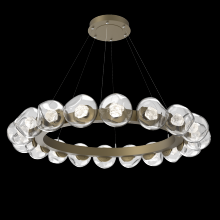 Hammerton CHB0095-48-GB-ZC-CA1-L1 - Luna Radial Ring - 48-Inch