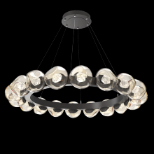 Hammerton CHB0095-48-GP-ZA-CA1-L1 - Luna Radial Ring - 48-Inch