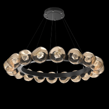 Hammerton CHB0095-48-MB-ZB-CA1-L1 - Luna Radial Ring - 48-Inch