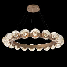 Hammerton CHB0095-48-NB-FA-CA1-L1 - Luna Radial Ring - 48-Inch