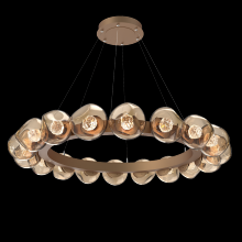 Hammerton CHB0095-48-NB-FB-CA1-L3 - Luna Radial Ring - 48-Inch