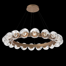 Hammerton CHB0095-48-NB-FC-CA1-L1 - Luna Radial Ring - 48-Inch