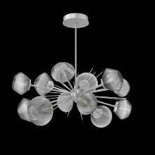 Hammerton PLB0089-0D-CS-S-001-L3 - Mesa Oval Starburst