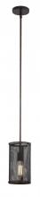 Trans Globe 10221 ROB - 1LT PENDANT-MESH SHADE-EDISON