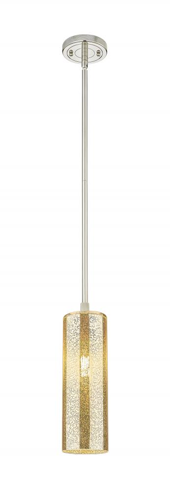 Crown Point - 1 Light - 5 inch - Polished Nickel - Pendant