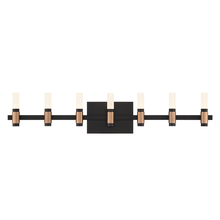 Eurofase 45238-017 - Albany 14 Light Vanity in Black and Brass