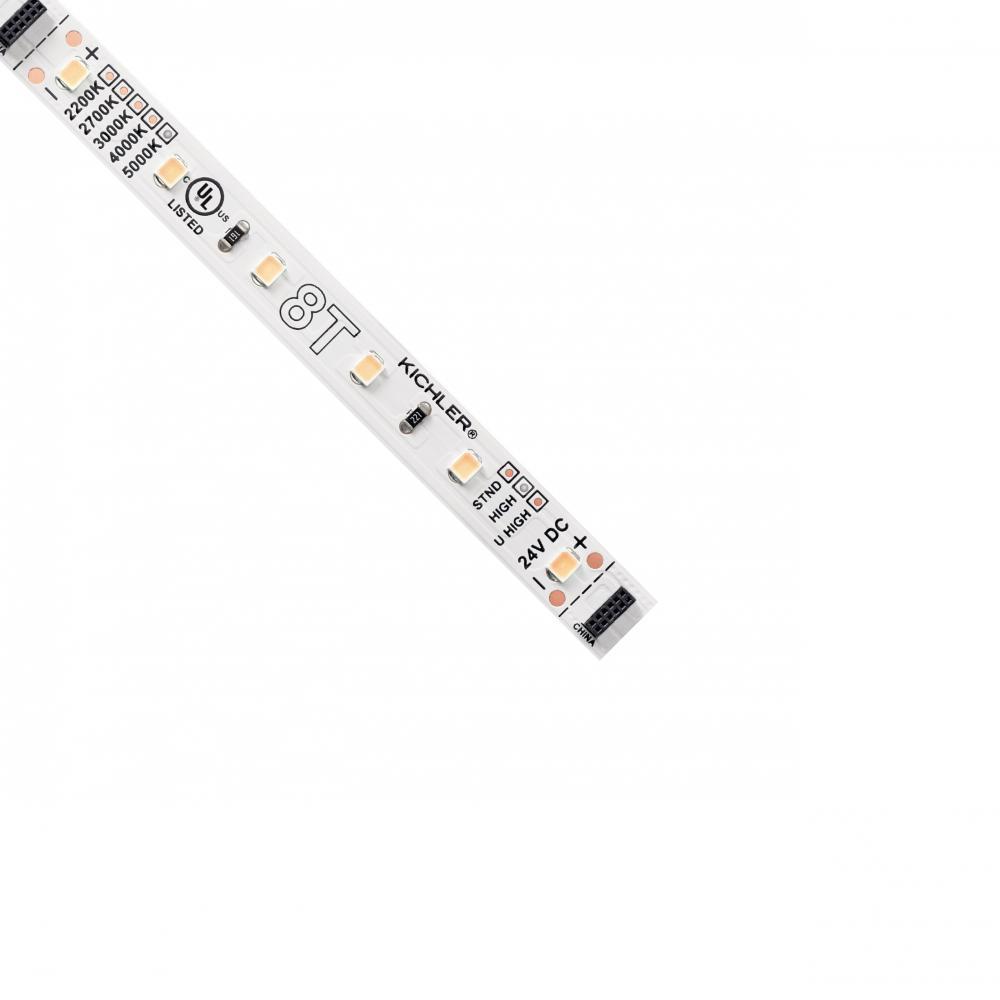 8T 100' 5000K 24V High Output LED Tape Light
