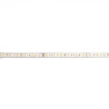 HIGH OUTPUT TAPE LIGHT