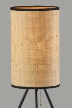 3816-01_2_lg.jpg