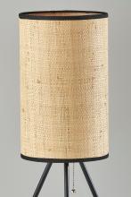 3816-01_3_lg.jpg