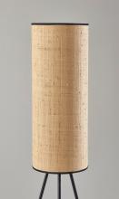 3817-01_4_lg.jpg