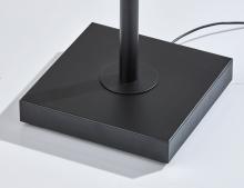 4298-01_3_lg.jpg
