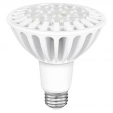 PAR 30 LED
