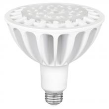PAR 38 LED